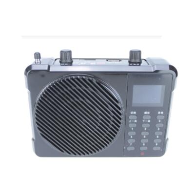 AXON A-80 New Adjustable Tone In Ear Digital Hearing Aid Aids Sound Amplifier 