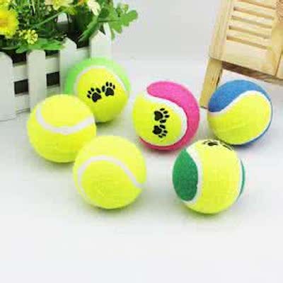 With the footprints tennis Special toy dog pet bite ball movement multicolor outdoor activity training goals