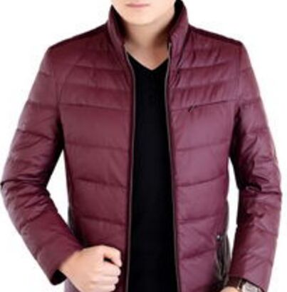2015 autumn and winter the glossy coat collar thin section down jacket zipper pockets grain man cotton-padded clothes manufacturers selling