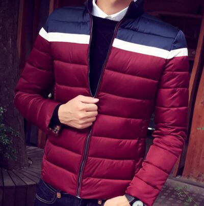 2015 autumn/winter coat new men han edition cotton-padded jacket collar teenagers cultivate one's morality men's down jacket