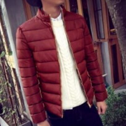 The new 2015 more cotton quilted jacket han edition cultivate one's morality men's coat to keep warm winter cotton-padded jacket male factory direct sale